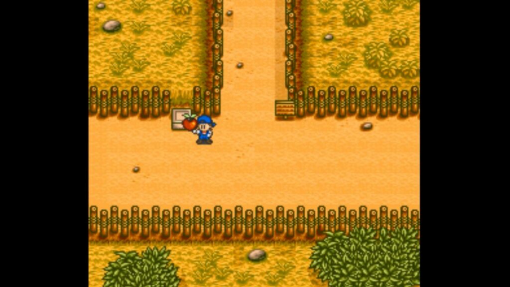 Power Berry found in Crossroad's Chicken Statue. Hit it with your Hammer. | Harvest Moon SNES