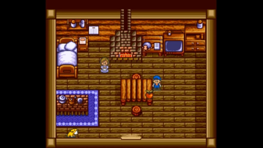 Power Berry as one of the prizes for winning the Egg Festival Hunt. | Harvest Moon SNES