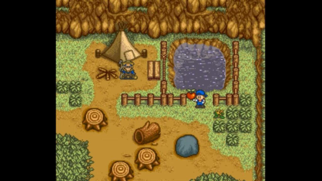 Power Berry found by throwing a caught Fish back into the pond. Must be thrown from bottom of pond like shown in image, | Harvest Moon SNES