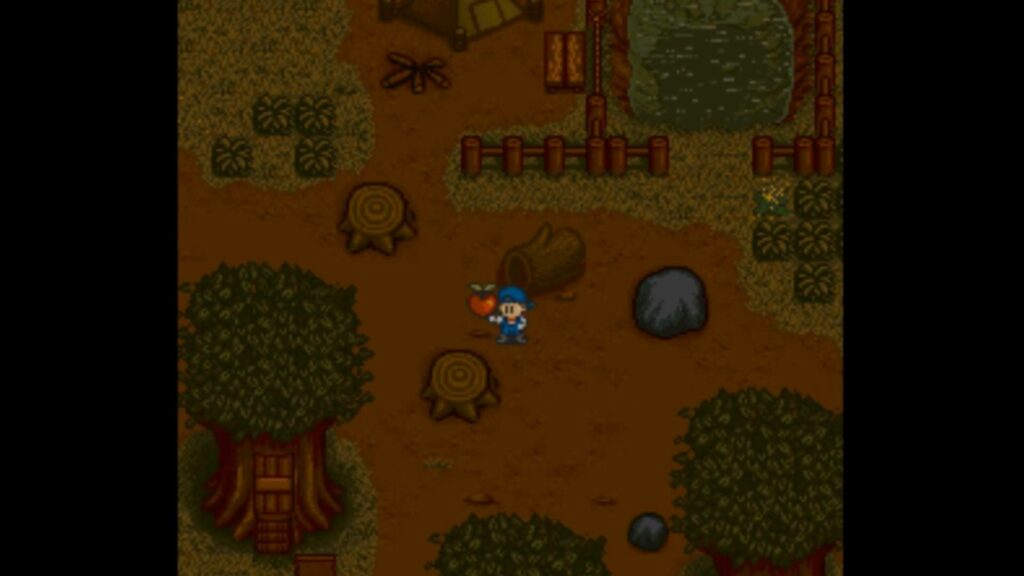 Power Berry found by chopping a random stump on the Mountain. | Harvest Moon SNES
