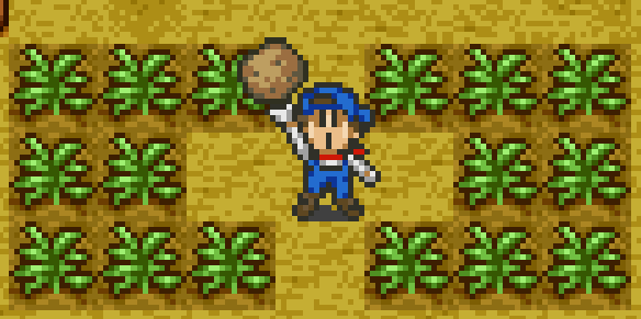 In terms of pure profit, Potatoes are the highest profit Spring crop. | Harvest Moon SNES