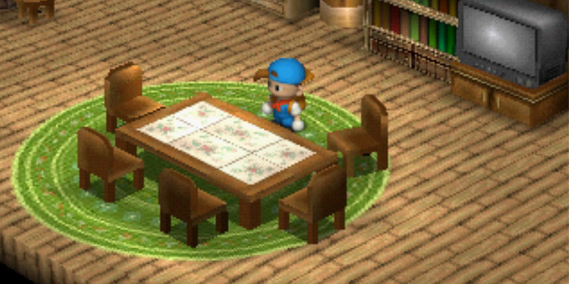 The second house expansion's living room | Harvest Moon Back to Nature