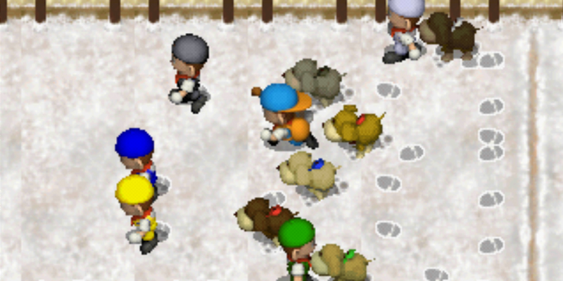 The Dog Race begins! | Harvest Moon Back to Nature