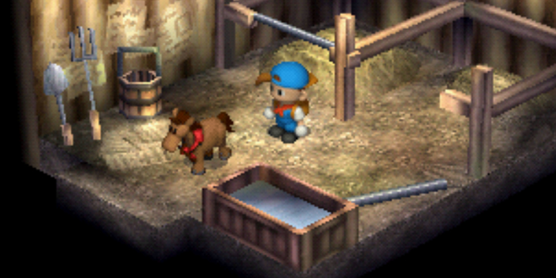 The pony will live inside the stable. | Harvest Moon Back to Nature