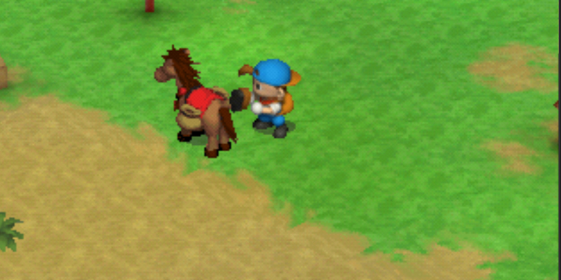 Remember to brush your horse daily. | Harvest Moon Back to Nature