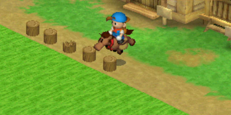Trian your horse by jumping over obstacles. | Harvest Moon Back to Nature
