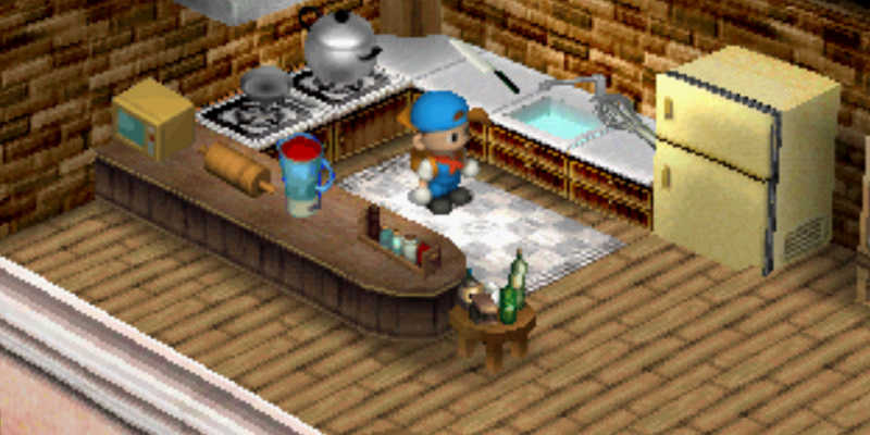 A fully furnished kitchen. | Harvest Moon Back to Nature
