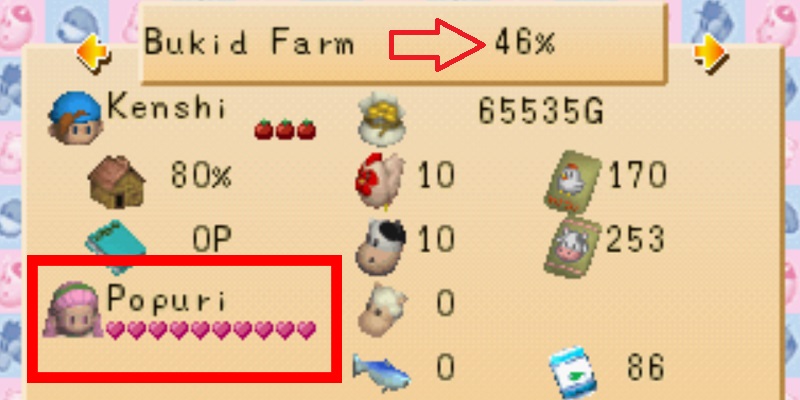 Your wife gives additional farm percentage points. | Harvest Moon Back to Nature