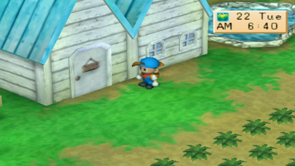 Exterior view of the expanded chicken coop. | Harvest Moon Back to Nature