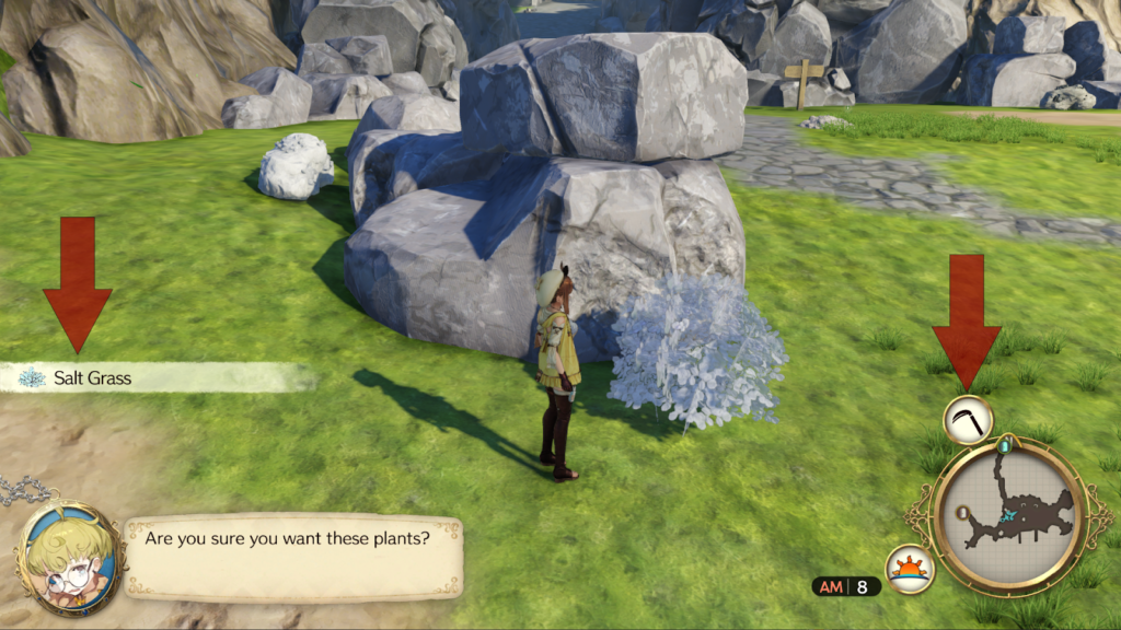 How to get Salt Grass in Atelier Ryza Ever Darkness & the Secret