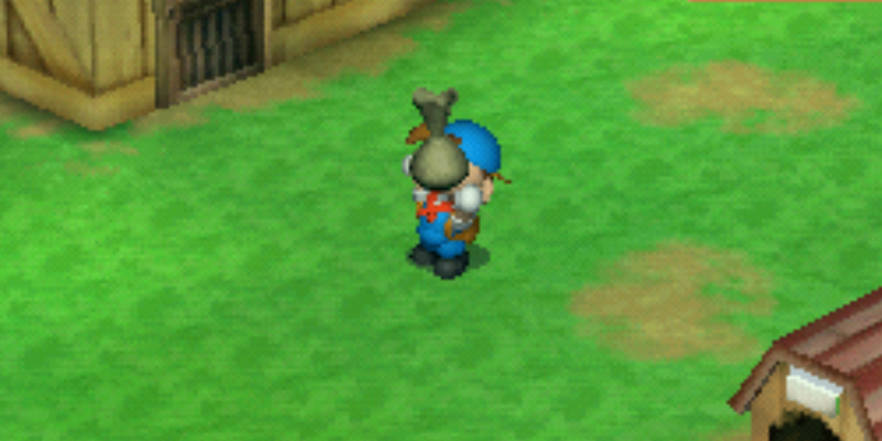 How to Get the Relaxation Tea Leaves in Harvest Moon Back to Nature