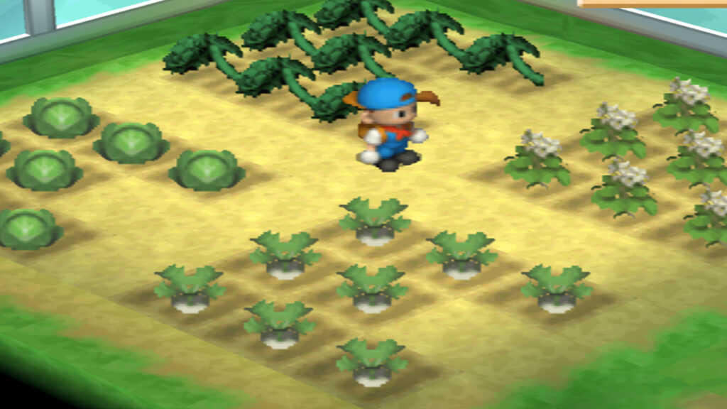 The spring crops are ready for harvesting. | Harvest Moon Back to Nature