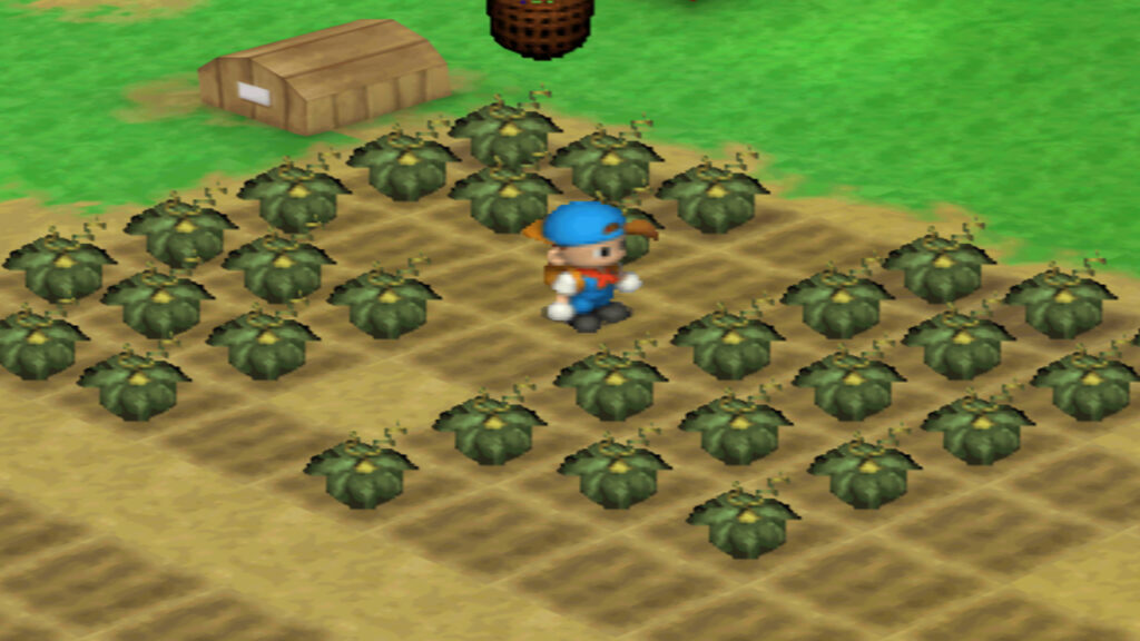Pumpkins grow during the summer. | Harvest Moon Back to Nature