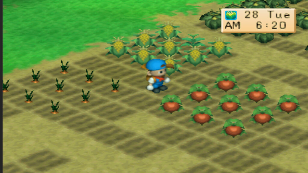 The summer crops are ready for harvesting. | Harvest Moon Back to Nature