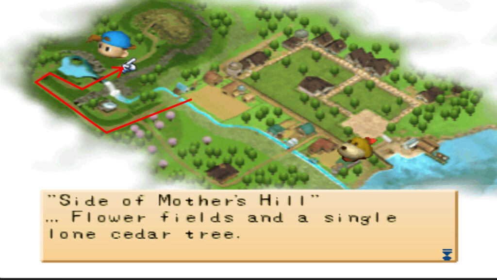 Location of the cedar tree in the map. | Harvest Moon Back to Nature
