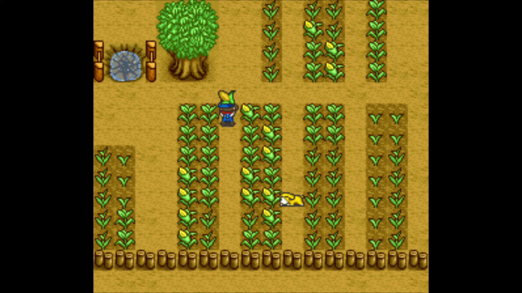 The Corn ending scene | Harvest Moon SNES