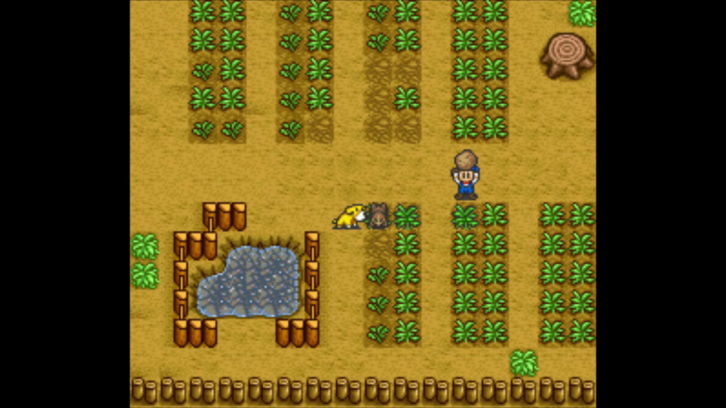 Potato Guide for Harvest Moon SNES