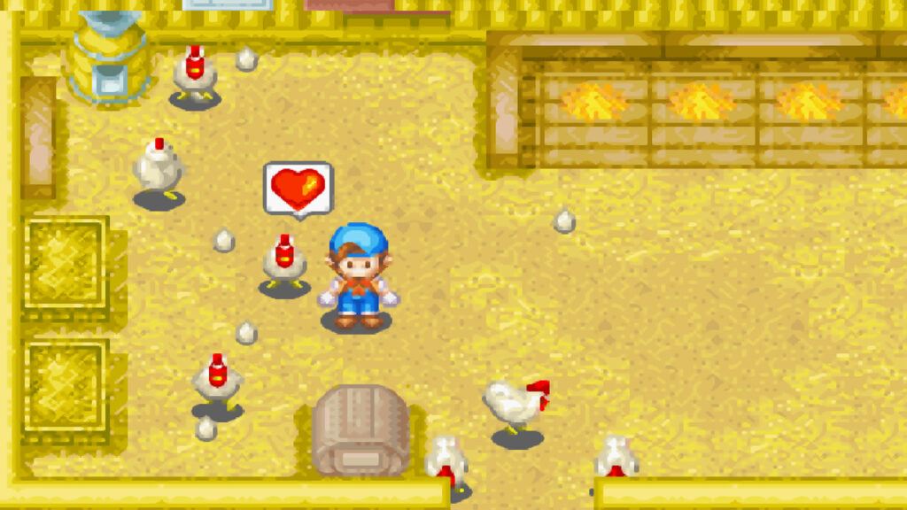 Picking up a chicken daily increases its affection | Harvest Moon: Friends of Mineral Town