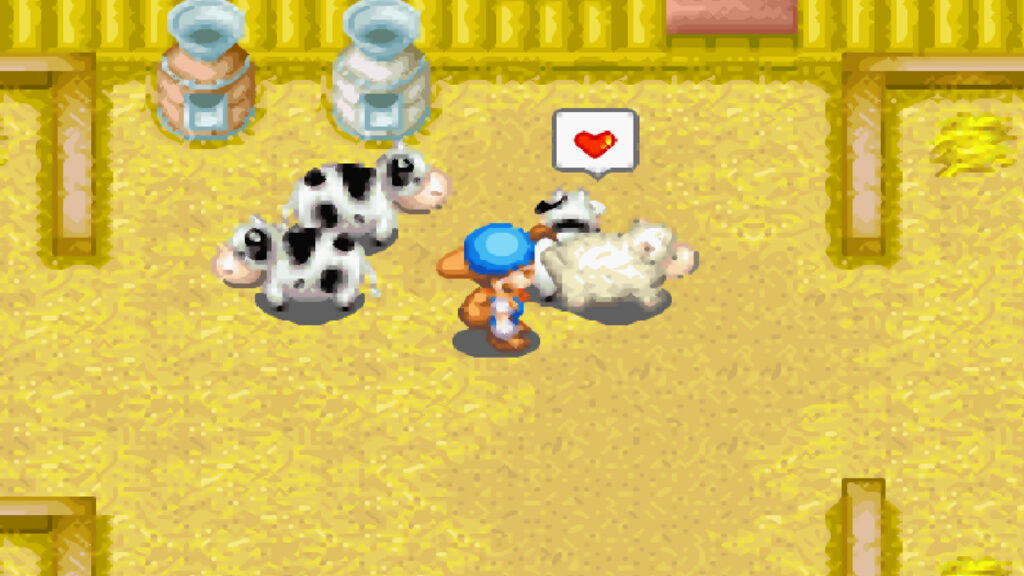 Brushing and talking to cows will increase their affection | Harvest Moon: Friends of Mineral Town