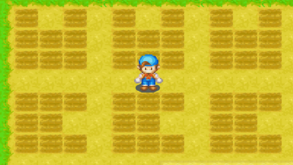 View of the u-shape/c-shape pattern | Harvest Moon: Friends of Mineral Town