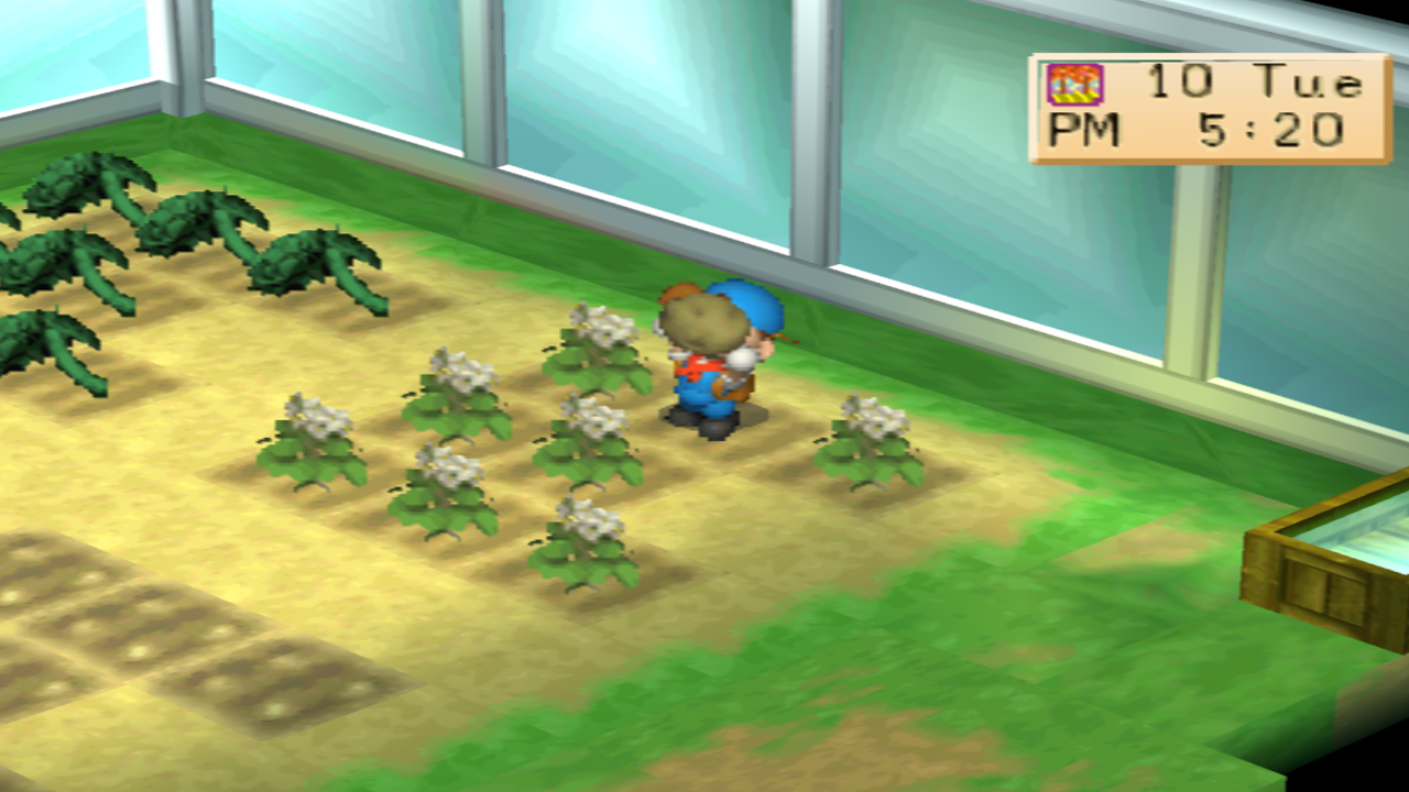 Harvest Moon: Back to Nature Crop Guide – Potato