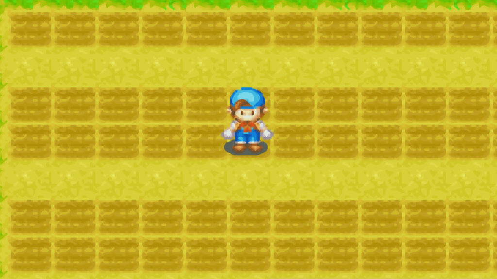 View of the parallel row pattern | Harvest Moon: Friends of Mineral Town