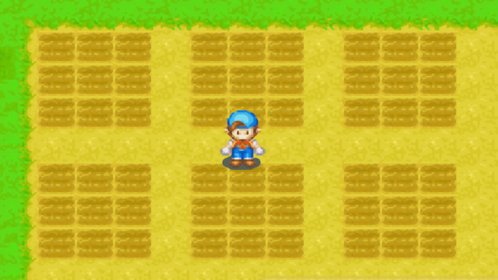 View of the full square pattern | Harvest Moon: Friends of Mineral Town