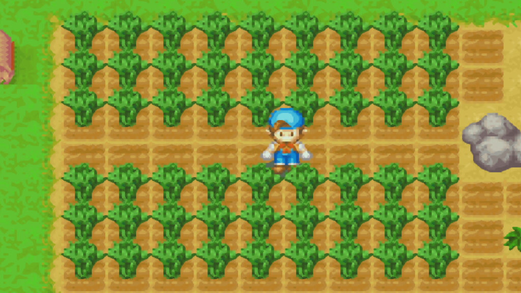 A field of spinach ready for harvest | Harvest Moon: Friends of Mineral Town