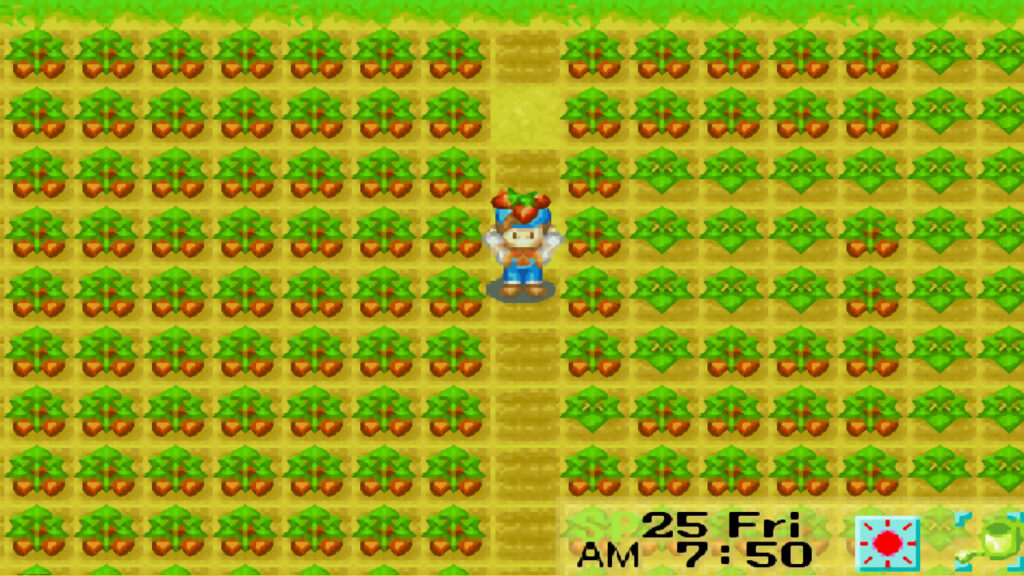 The strawberries are ready for harvest | Harvest Moon: Friends of Mineral Town