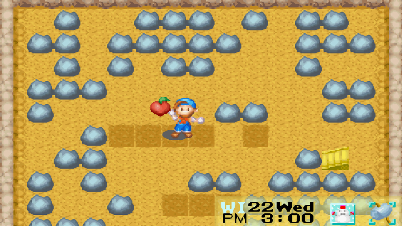 A Power Berry found on the 100th floor of the Spring Mine | Harvest Moon: Friends of Mineral Town