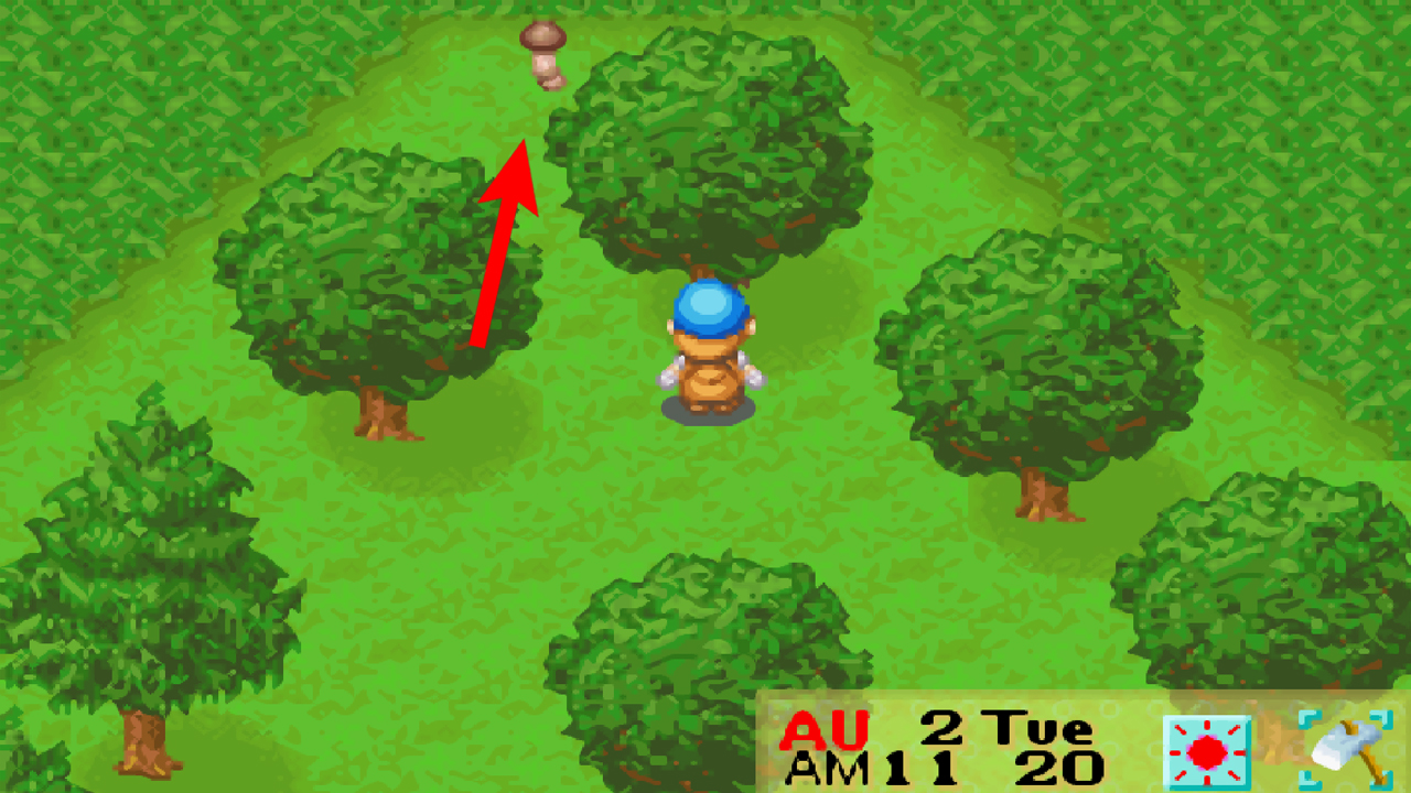 Location of the second truffle behind the church | Harvest Moon: Friends of Mineral Town