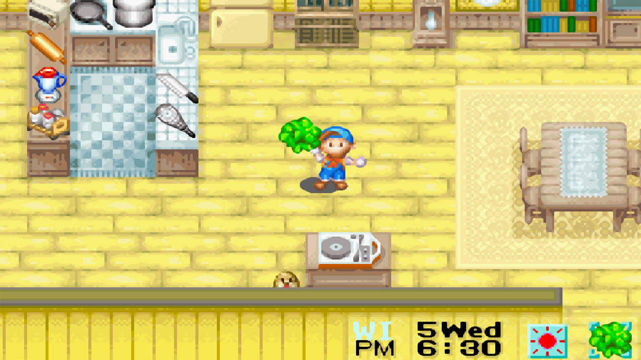 The Gem of the Kappa, obtained by collecting 9 jewels | Harvest Moon: Friends of Mineral Town