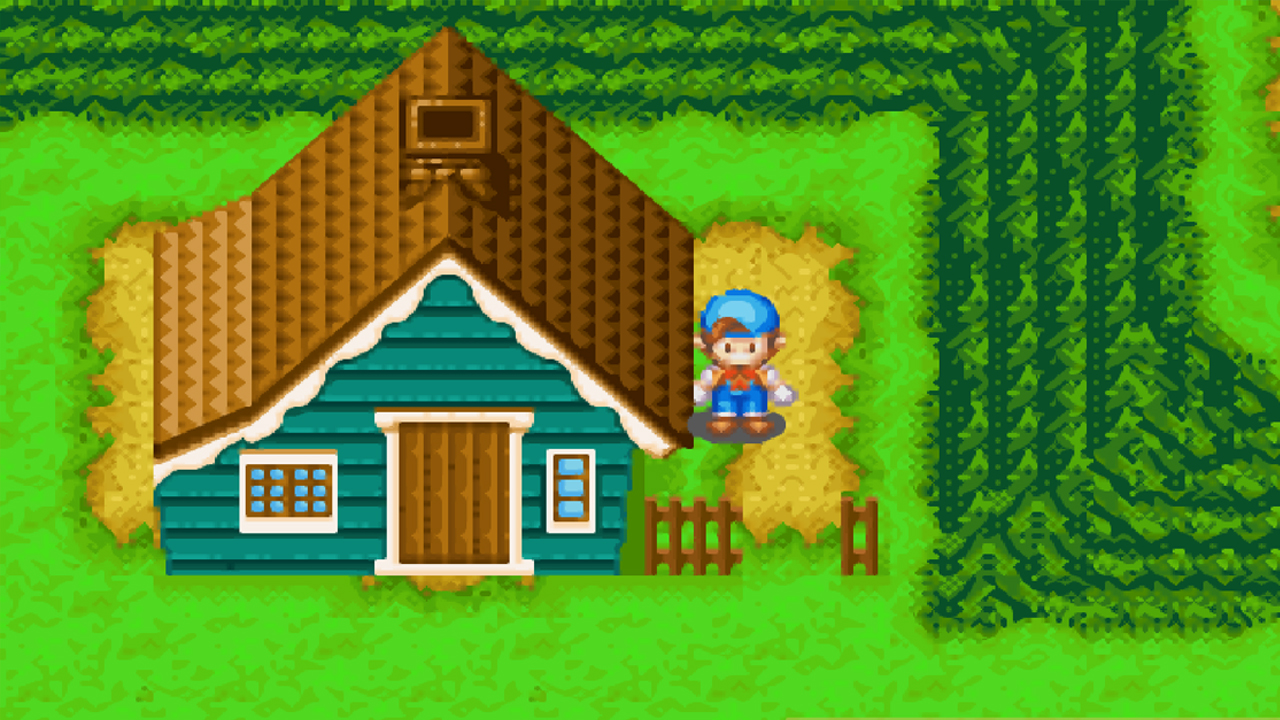 How to Get the Mountain and Seaside Cottage in Harvest Moon: Friends of Mineral Town