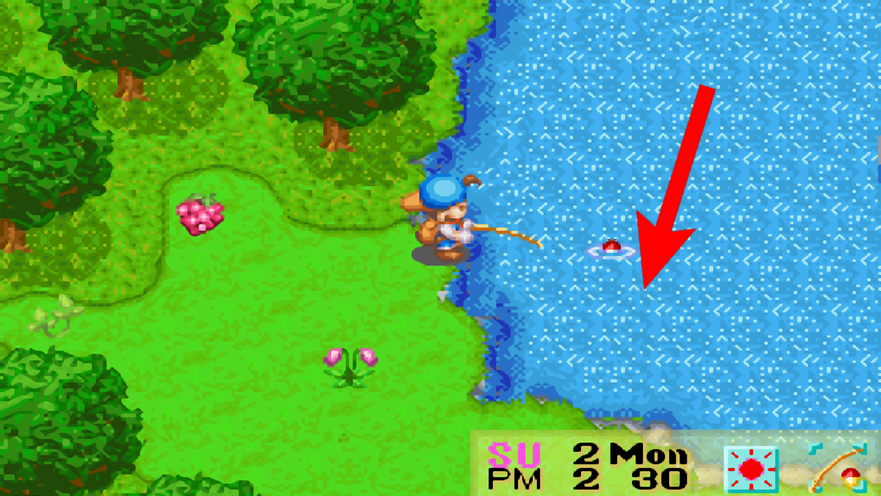 Location of a fishing spot on the lake | Harvest Moon: Friends of Mineral Town