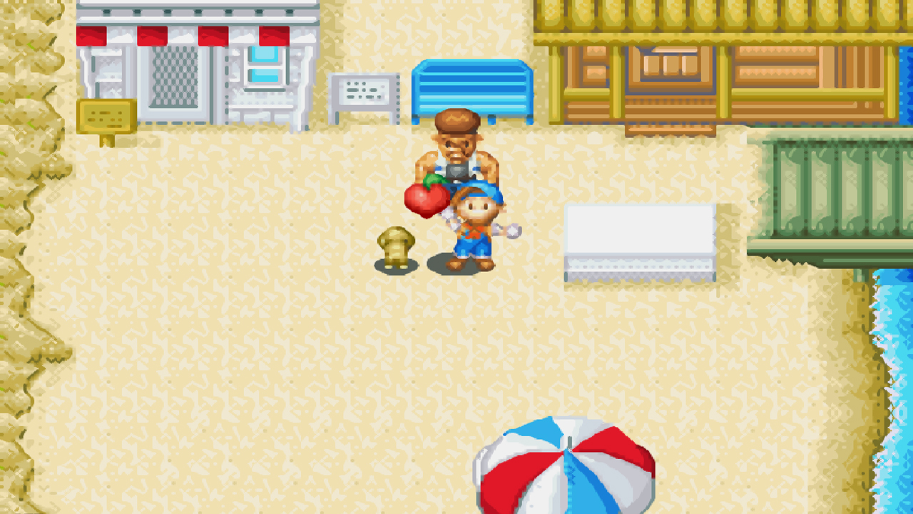A Power Berry is rewarded for winning the festival | Harvest Moon: Friends of Mineral Town
