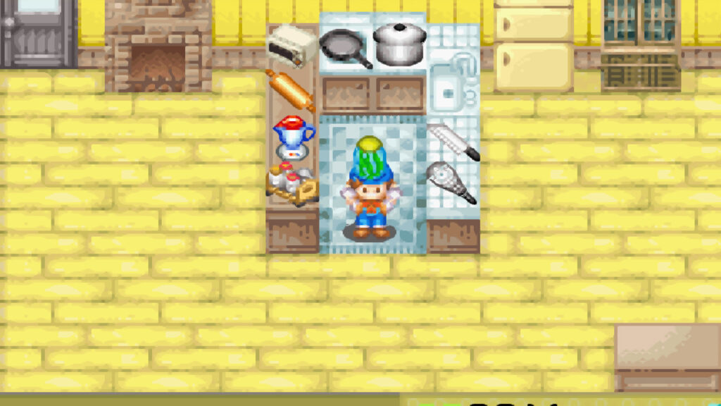 You can make pickles which you can eat or give as a gift using cucumbers | Harvest Moon: Friends of Mineral Town