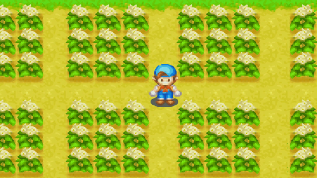 A white flower indicates that the potato is ready for harvesting | Harvest Moon: Friends of Mineral Town