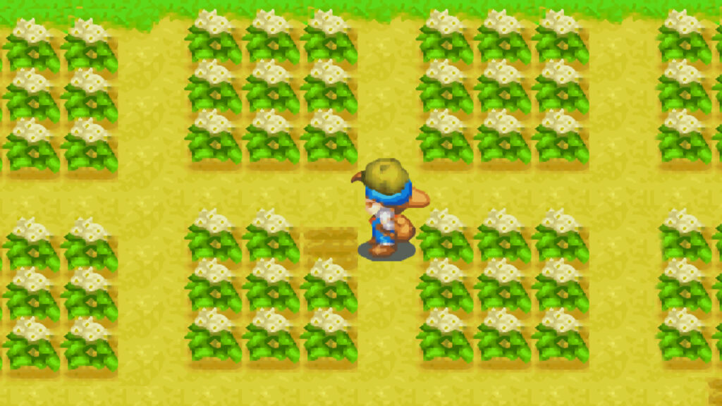 Potato Crop Guide for Harvest Moon: Friends of Mineral Town