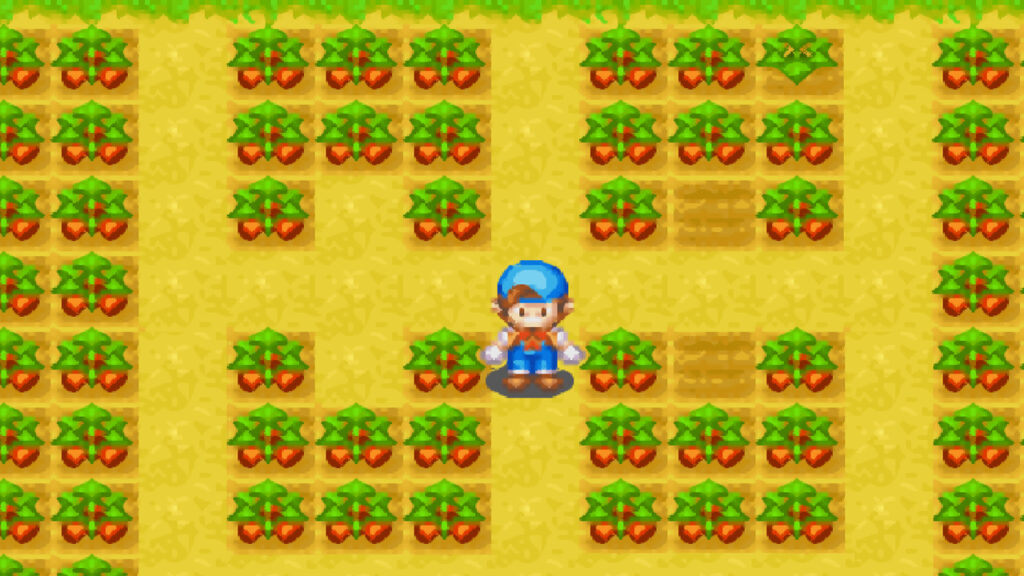 Strawberry Crop Guide for Harvest Moon: Friends of Mineral Town