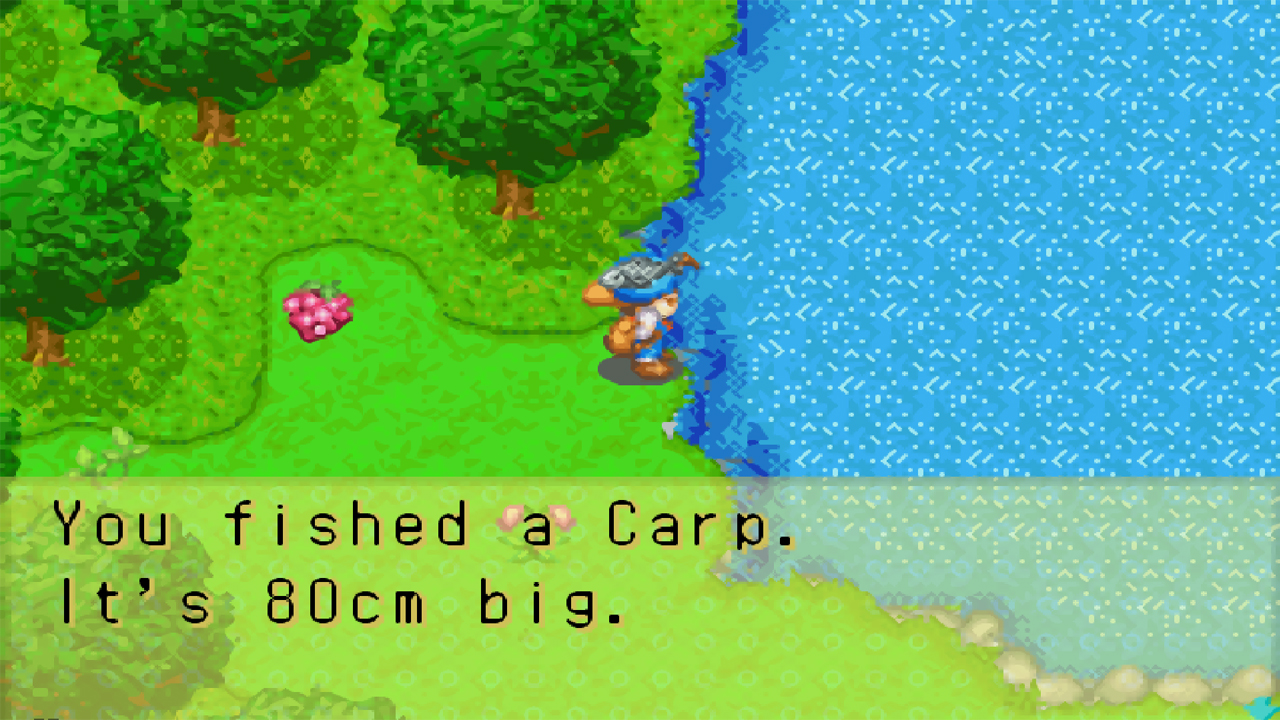 You can find the carp at the mountain lake | Harvest Moon: Friends of Mineral Town
