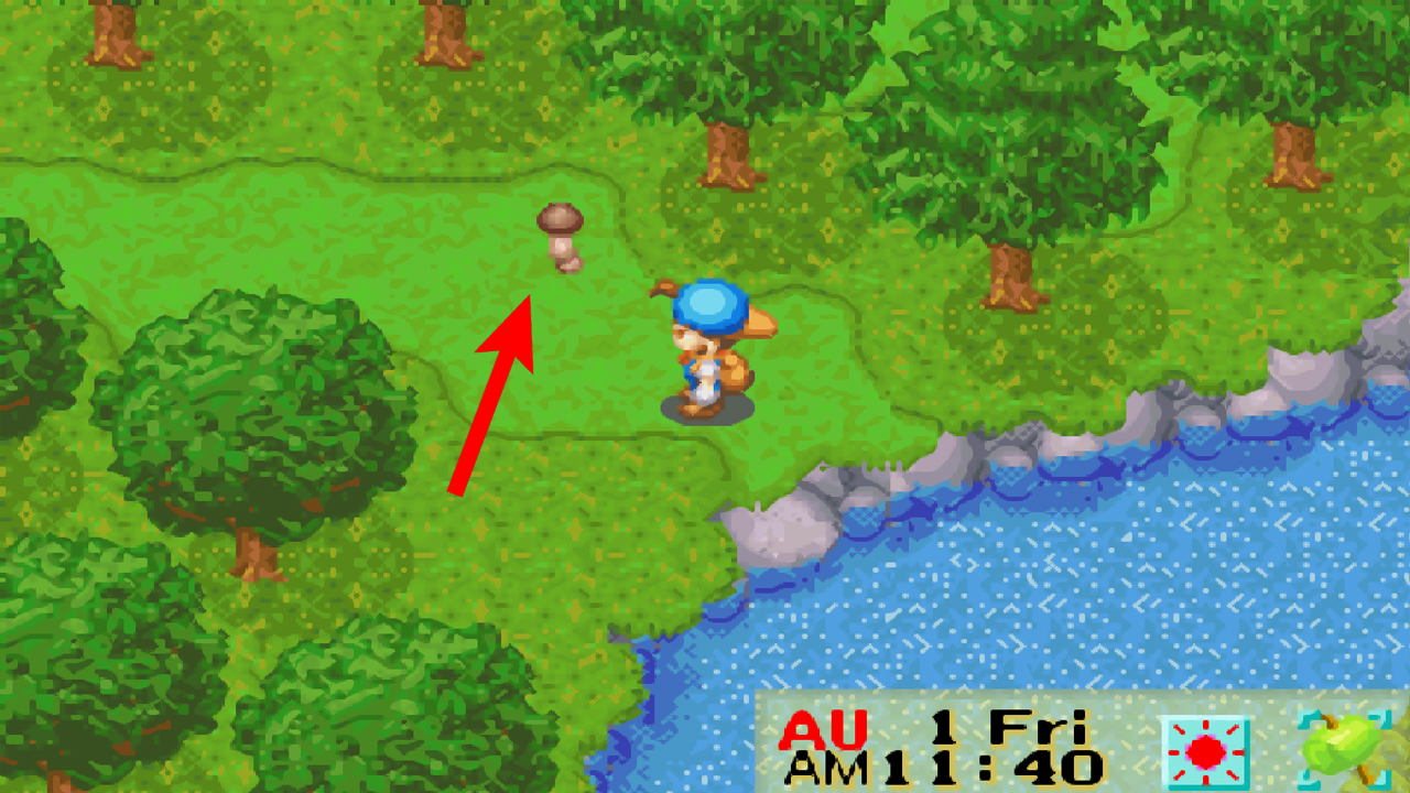 Location of the truffle at the end of the hidden path | Harvest Moon: Friends of Mineral Town