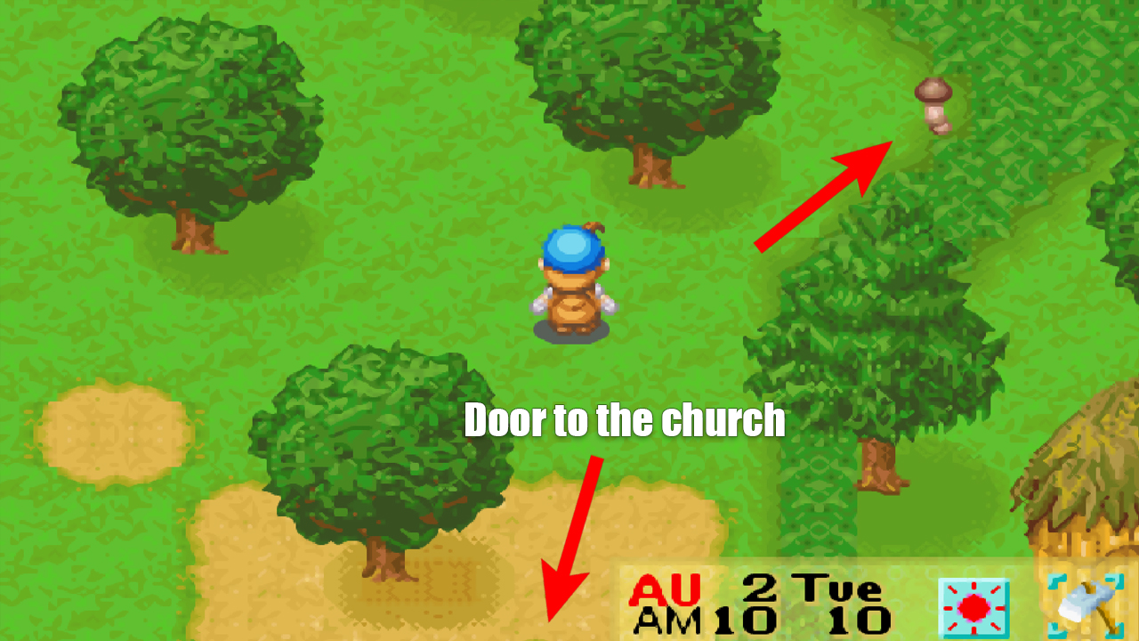 Location of the first truffle behind the church | Harvest Moon: Friends of Mineral Town