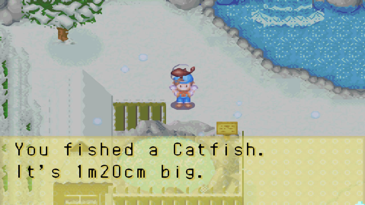You can find the catfish at the hot spring during winter | Harvest Moon: Friends of Mineral Town