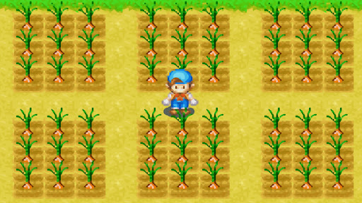 Onion Crop Guide for Harvest Moon: Friends of Mineral Town