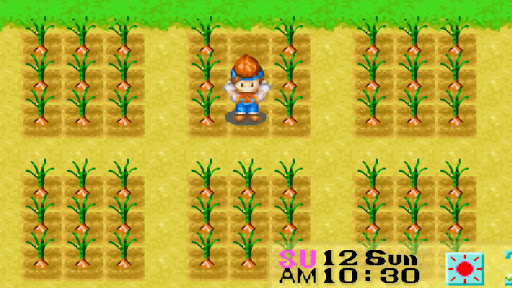 Onions are cheap and they grow the fastest among the summer crops | Harvest Moon: Friends of Mineral Town