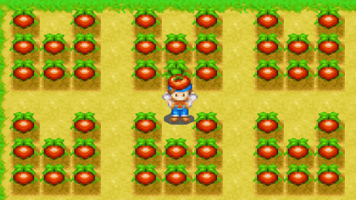 Tomato Crop Guide for Harvest Moon: Friends of Mineral Town