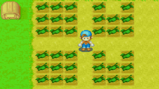 The 3x3 Square formation (left side), and the U-Shape formation (right side) | Harvest Moon: Friends of Mineral Town