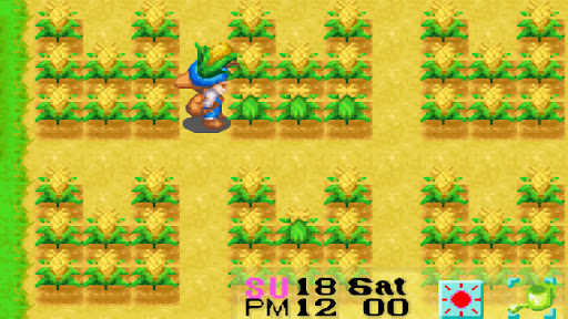 Fields of corn planted in the U-Shape formation | Harvest Moon: Friends of Mineral Town