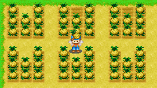 Pineapple Crop Guide for Harvest Moon: Friends of Mineral Town