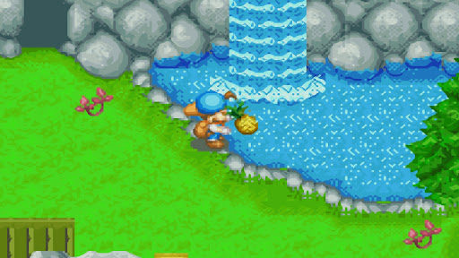 The player offers a pineapple to the Harvest Goddess | Harvest Moon: Friends of Mineral Town